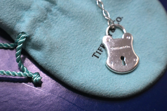 Tiffany &Co DIAMOND Arc Lock Padlock Pendant Fancy Oval Link Necklace RARE